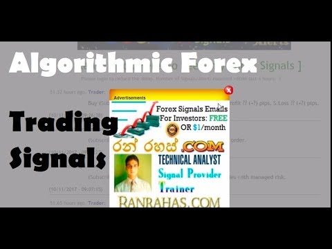 Algorithmic Forex Trading
