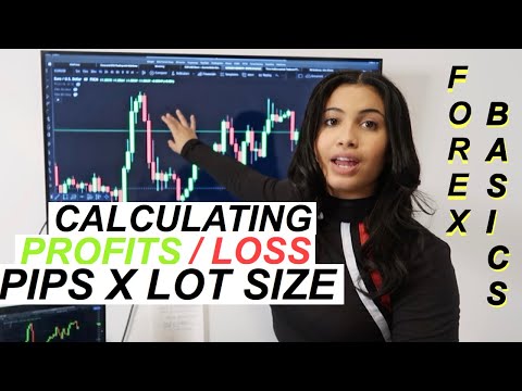 Forex Basics: Pips x Lot Sizes, Forex Position Trading Group