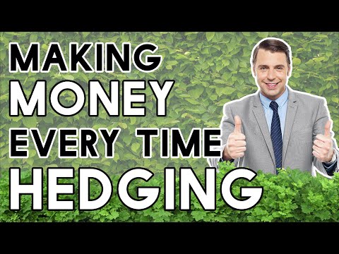 Forex Hacking - Hedging Trades To Make Money No Matter Which Way The Market Moves, Forex Position Trading Zero