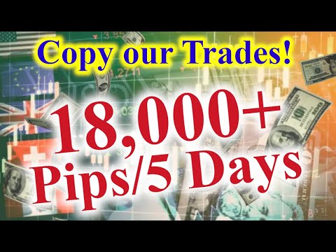 Forex Trading for Beginners | EASIER THAN YOU THINK | Copy Trades 😎, Forex Event Driven Trading Zero