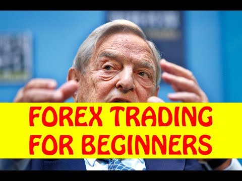 Forex Trading for Beginners Tutorial, Forex Event Driven Trading Que