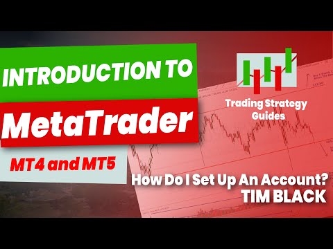 Intro To MetaTrader | Trading Education Series Tim Black #18 | Trading Strategy Guides, Forex Swing Trading Strategy Youtube