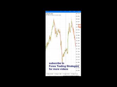 🔥😋NO LOSS Forex hedging strategy – Explained how to hedge your trades – forex trading strategies