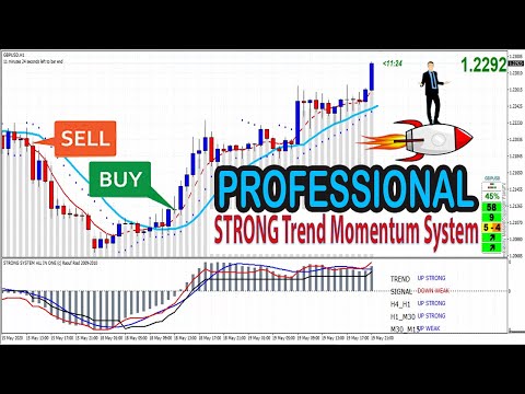 STRONG TREND Momentum System: The Best Forex/Stocks PRO Trading Strategy For Beginners, Forex Momentum Trading Option