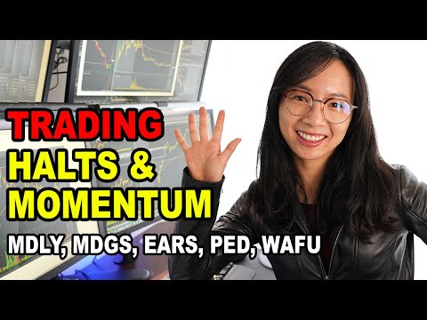 Trading Momentum Stocks, Trading Halts, Short Squeezes MDLY, MDGS, EARS, PED Trading Recap, Momentum Trading Risk