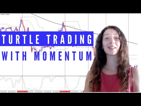 Turtle Trading Strategy with Momentum, Forex Momentum Trading Platform