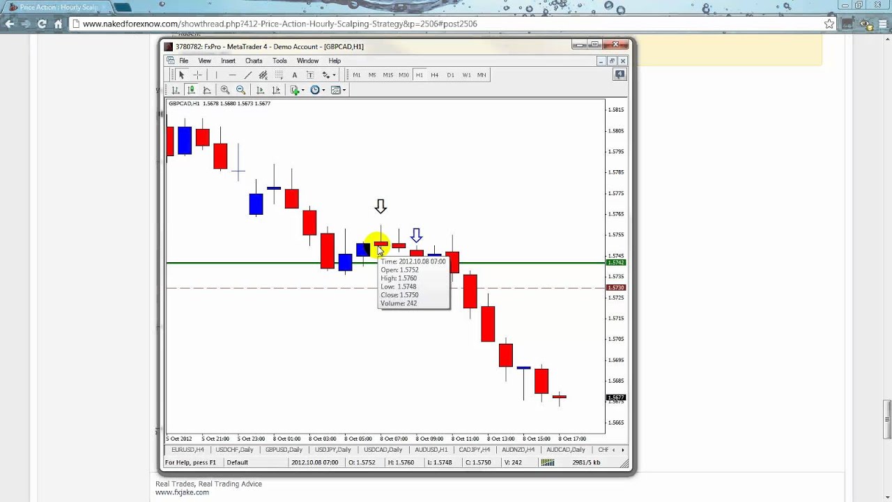 1 hour Naked Forex Scalping Method ⋆ TradingForexGuide.com