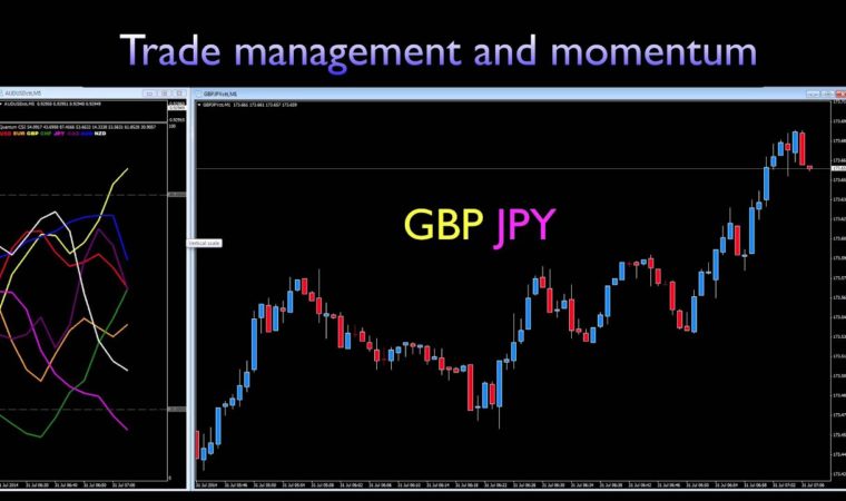 Currency strength indicator – trade management and momentum