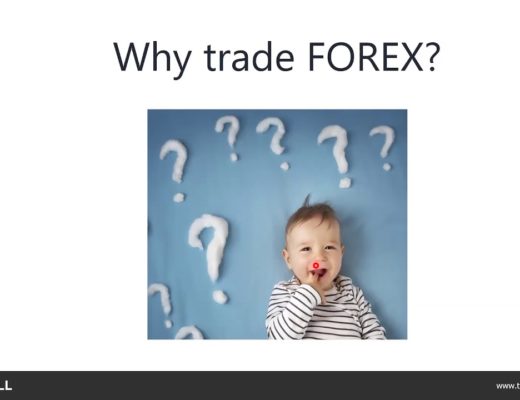 How to Trade Forex Using Expert Advisors (14.07.20)