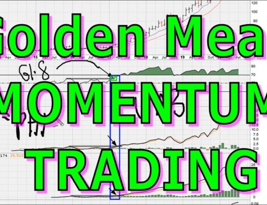 How To Use The Golden Mean In Long-Term MOMENTUM Trading – #1207