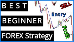 PERFECT Beginner FOREX Strategy