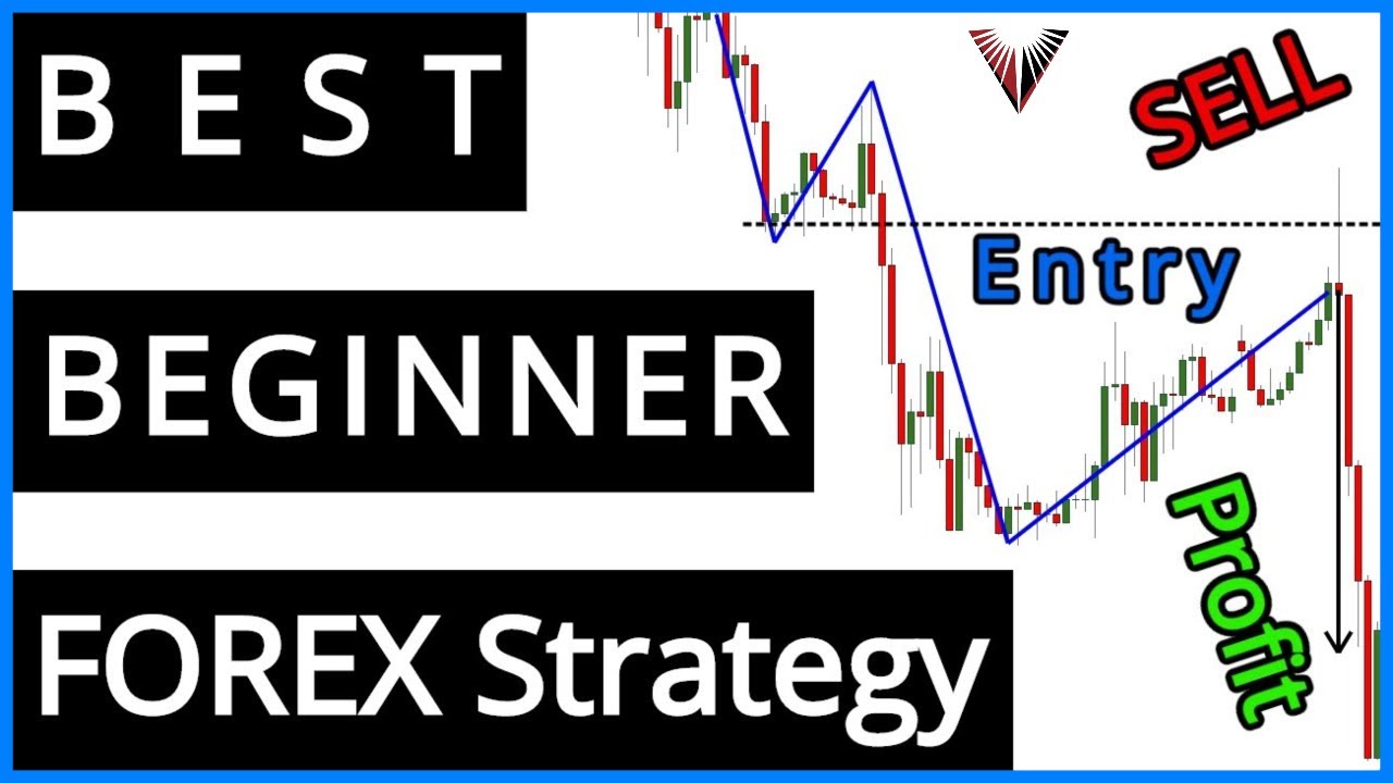 Forex for beginners for free forex script info