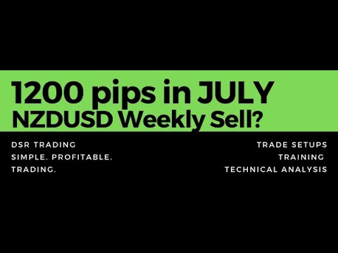 How To Trade Support & Resistance: FOREX 1200 pip month