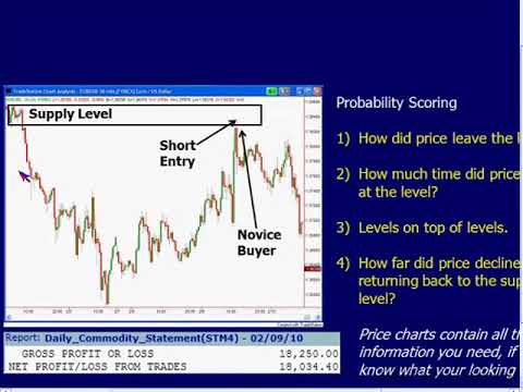 Sam Seiden  Forex Swing Trading With Supply and Demand Analysis